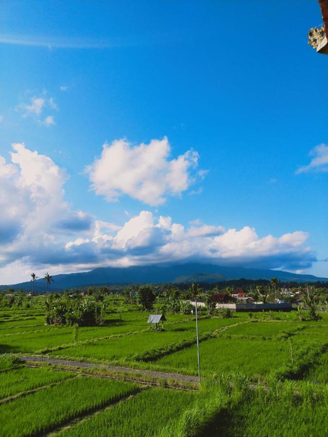 Limun Guesthouse Amlapura Ngoại thất bức ảnh