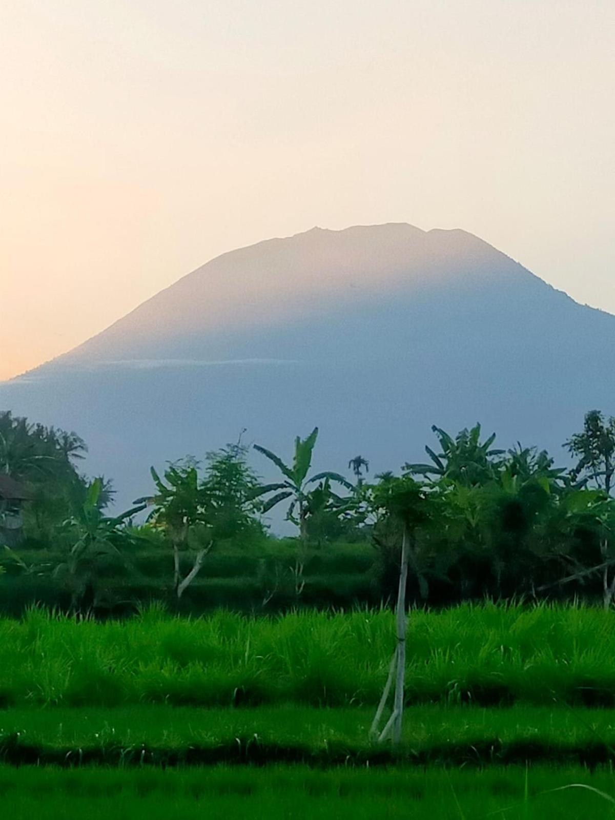 Limun Guesthouse Amlapura Ngoại thất bức ảnh